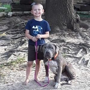 Meet your Posher, Morgan